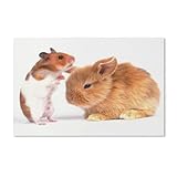 Puzzles 1000 Stück PapierMontage Bild，Hamster- und Kaninchentiere，Filmplakat Für Erwachsene Spiele Lernspielzeug(75x50cm-H1