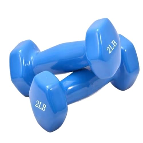 Hantel Glänzende, In Kunststoff Getauchte Hanteln For Männer Und Frauen, Fitness-Trainingsgeräte, Heim-Arm-Hebe-Arm-Kraft-Hanteln Dumbbell Set (Color : Blue, Size : 10kg)