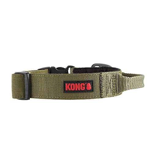KONG Ultra-strapazierfähiges, gepolstertes Hundehalsband mit Komfortgriff, Größe M, Grün