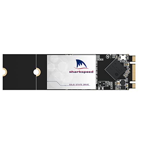 Interne SSD M.2 2280 NGFF SHARKSPEED Plus 3D NAND SATA III 6 Gb/s, internes Solid State Drive für Notebooks Desktop PC (M.2 2280 256GB)