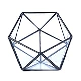 Geometrisches Terrarium-Pflanzgefäß, Pentagon-Behälter, moderne Dekoration, Blume, für Sukkulenten, Schmuckhalter, Wand, Schwarz