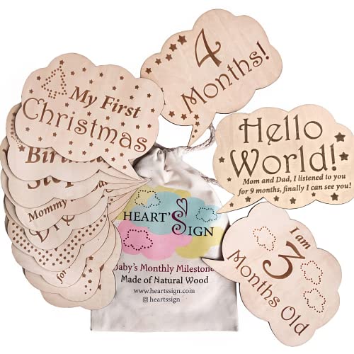 24 Designs Meilensteinkarten für Babys – Hallo Welt-Neugeborenen-Schild | Wöchentliche und besondere Meilensteine ​​aus Holz | Monatliche Meilenstein-Holzscheiben für Babys | Baby-Geschenkset
