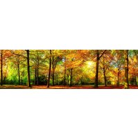 papermoon Vlies- Fototapete Digitaldruck 350 x 100 cm, Autem Forrest