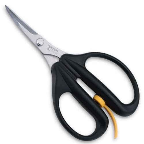 Hasegawa cutlery arm wrestler curve blade scissors Black AW-165C (japan import)