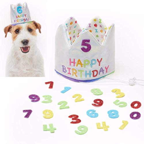 Pet London Happy Birthday Wende-Kronenhut für Hunde und Katzen, mit Glitzer-Zahlen, 20 Stück, wiederverwendbar – Feiern Sie den Geburtstag Ihres Haustiers – bestickt mit Happy Birthday (klein)