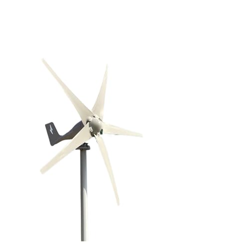 Windmühlengenerator Kleine Windkraftanlage, freie Energie, 3000 W, 12 V, 24 V, 48 V, 5 Flügel, Windmühlen, Wohnmobil-Yachtfarm for den Heimgebrauch Mehr Energieeinsparung (Color : 5 Blades, Size : 2