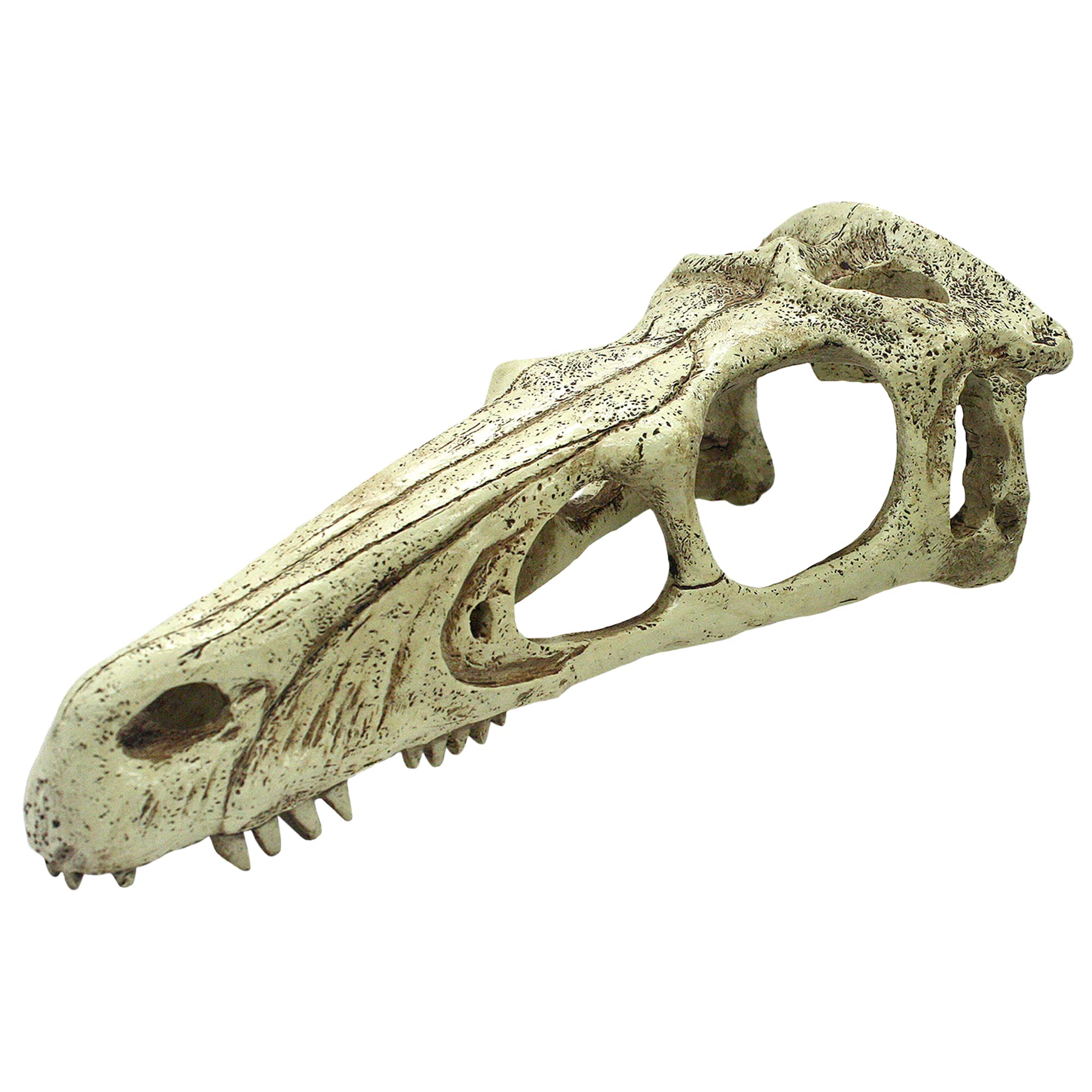 Komodo Raptor Totenkopf, Größe XL