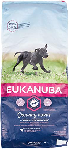 Eukanuba Puppy/Junior Large Breed 12 kg