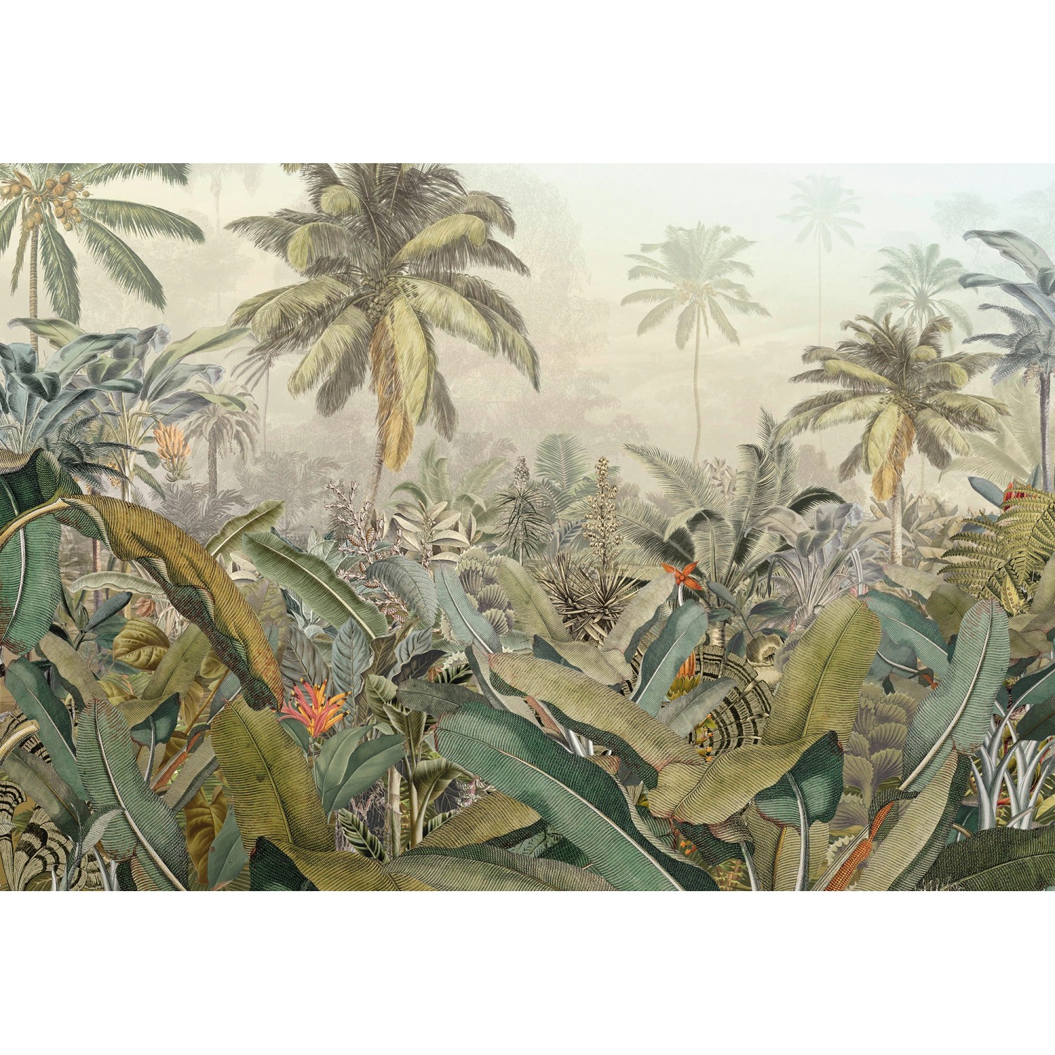 Komar Fototapete Vlies Amazonia 368 cm x 248 cm