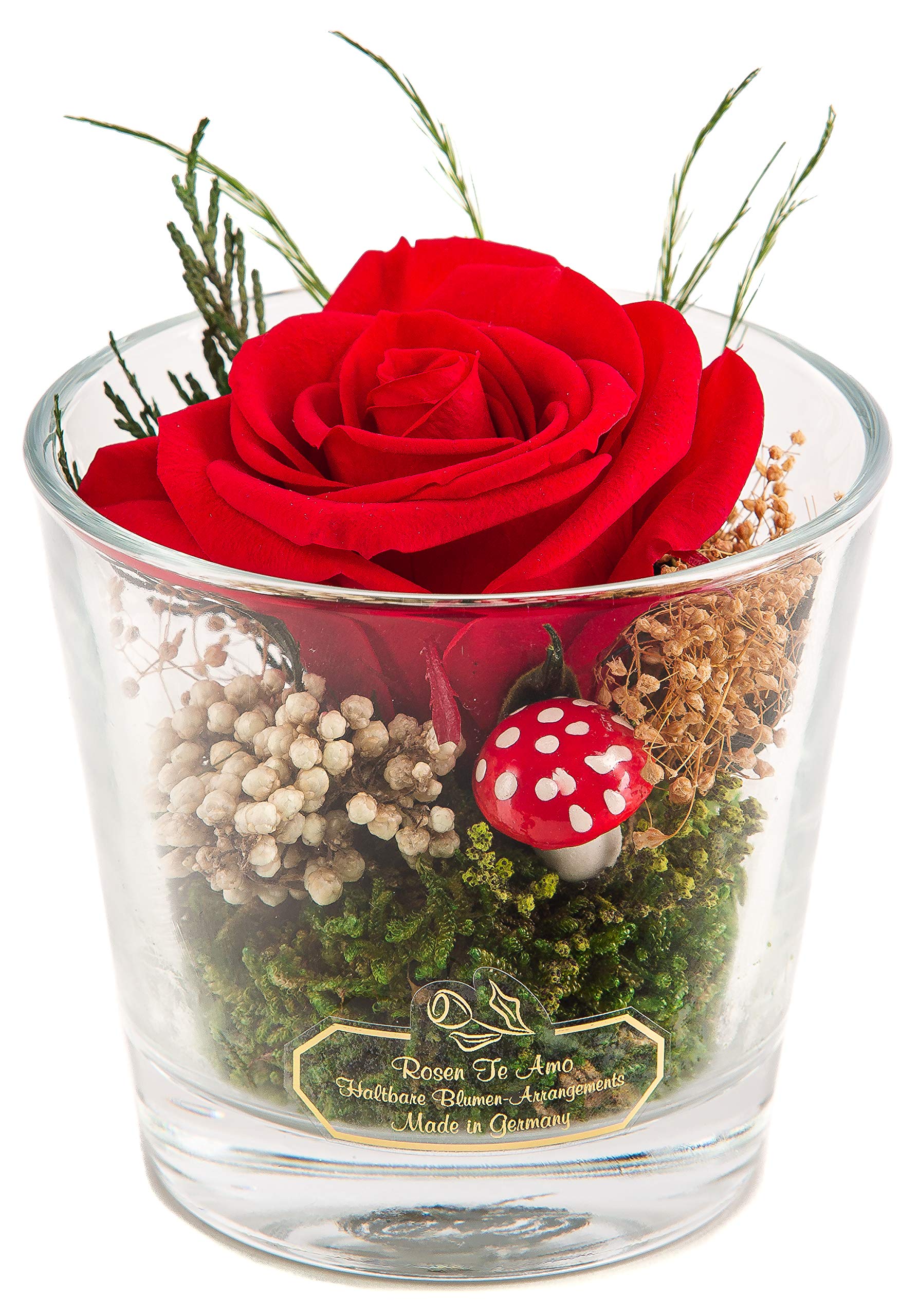 Rosen-Te-Amo | 1 konservierte rote Rose im Glas-Vase | echtem Bindegrün || Muttertag Infinity Rosen | Geburtstagsgeschenk für Frauen Mama Freundin Oma