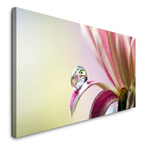 Paul Sinus Art GmbH Chrysanthemenblüte mit Wassertropfen 120x 50cm Panorama Leinwand Bild XXL Format Wandbilder Wohnzimmer Wohnung Deko Kunstdrucke