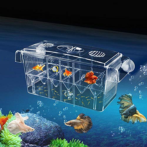 Aquarium Fischzuchtbox Acryl schwimmende Fische Isolierung Multifunktionale Brutkasten Brutkasten Box Transparent Fisch Braten Tank Brutwaren