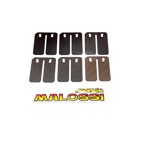 Einlassmembrane MALOSSI Carbon - Gilera-Runner 180 FXR DT 2T LC