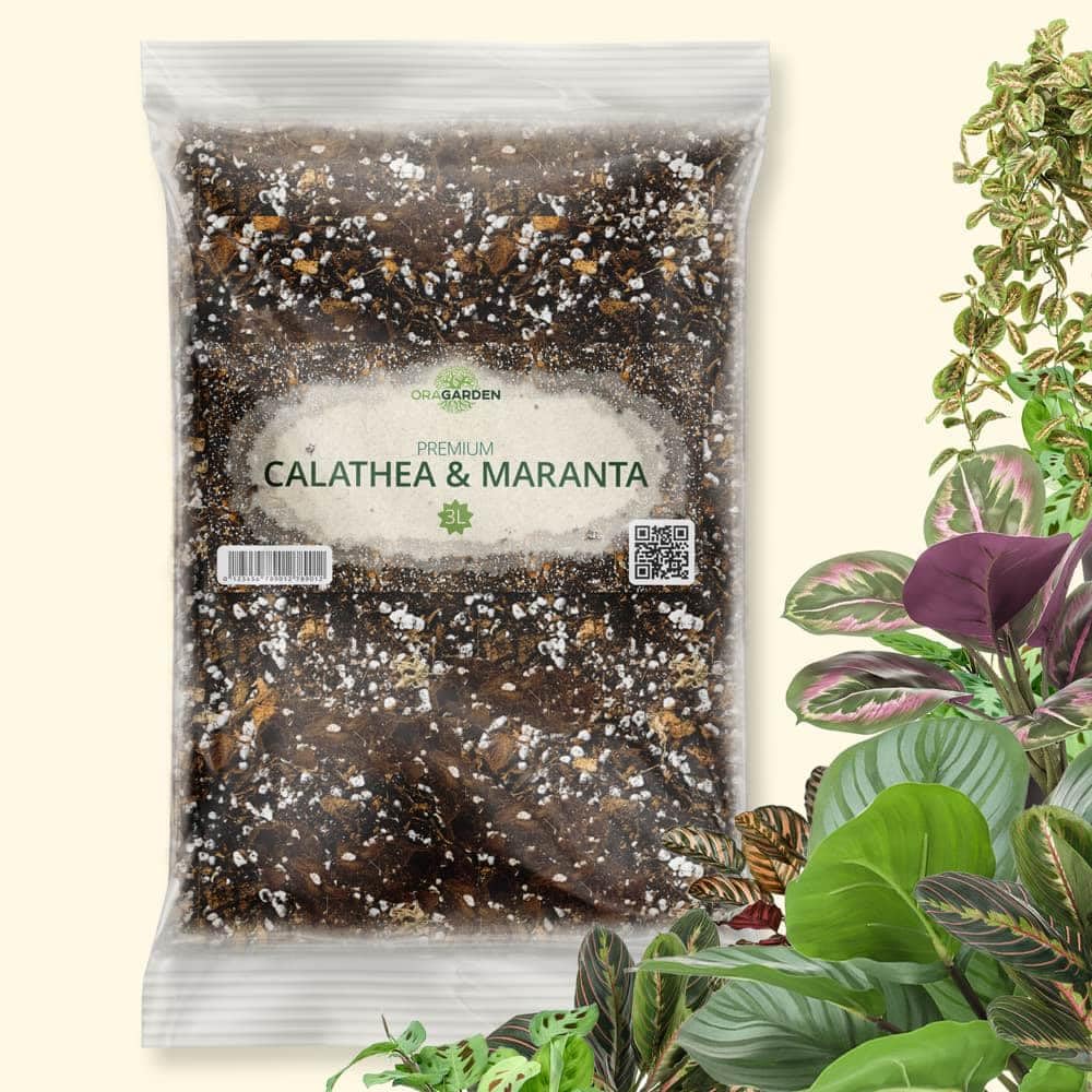 OraGarden Calathea&Maranta Erde Blumenerde für Begonia Fittonie Premium Qualität (3L)