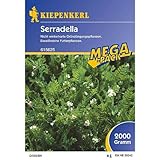 Kiepenkerl 615625 | Serradella green fertilizer for 400 m² | contributes to maintaining health and improving the soil