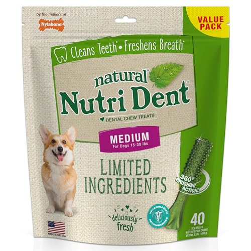 Nylabone Nutri Dent Limited Zutat Dental Dog Chews - Medium Size - Filet Mignon oder Fresh Breath Aromen, 40 Ct, Fresh Breath