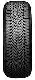 Nexen Winguard SnowG WH2 - 185/55/R16 87T - C/B/71 - Winterreifen