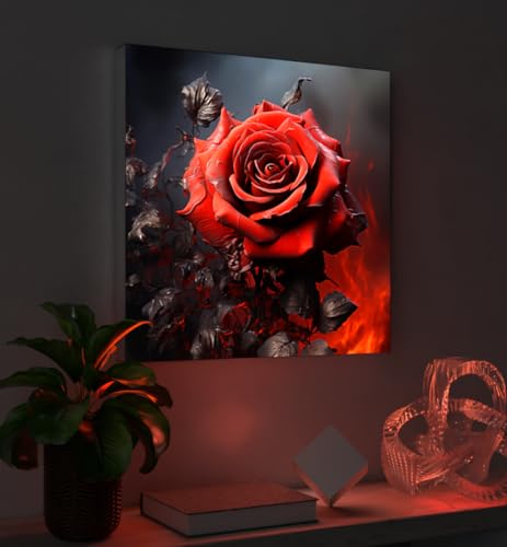 MyMaxxi - Pixlip Poster Rote Rose Wandbild Design Wand Dekoration, Foto schwarz rot Leuchtrahmen - Rosenblüte, 84x120 cm, Rahmen: nur Druck