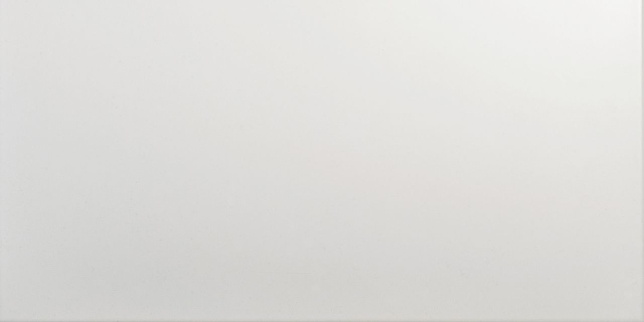Bodenfliese Steinzeug Alaska 30 x 60 cm weiß glänzend