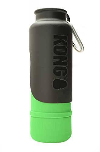 Kong Kong Thermosflasche, Edelstahl, Grün, 25 Oz/739 ml, 250 g