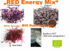 350 g BIO Keimsprossen Mischung Red Energy Mix Keimsaat Samen für die Sprossenanzucht 100 g Radies Sango, 100 g Rotkohl, 100 g Rote Rübe, 50 g Basilikum rot