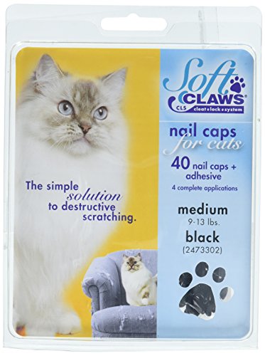 SOFTCLAWS® Krallenschutzes für Katzen - Medium - Schwarz