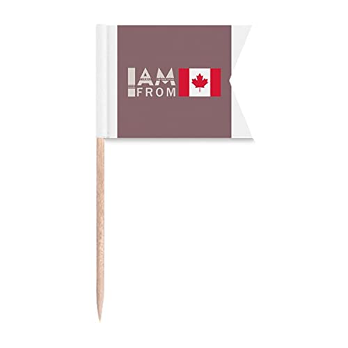 "I Am from Canada", Art-Deco-Geschenk, modische Zahnstocher-Flaggen, Kennzeichnung für Party, Kuchen, Lebensmittel, Käseplatte