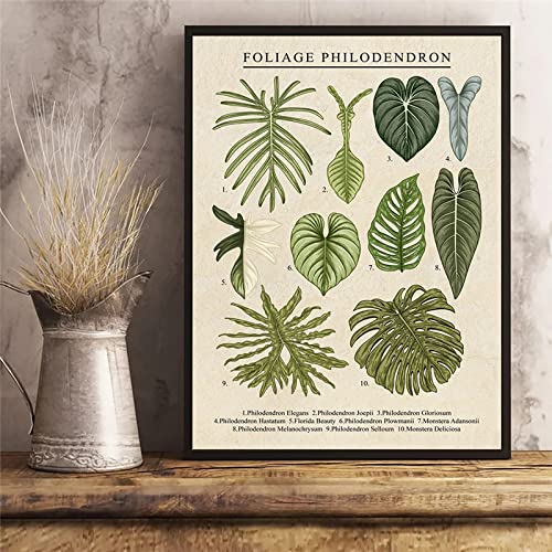 Laub Wand Bilder Anthurium Colocasia Alocasia Pflanzen Leinwand Bild Blatt Poster Wandbild Für Wohnzimmer Dekoration Wohnkultur 40x60cm Ungerahmt