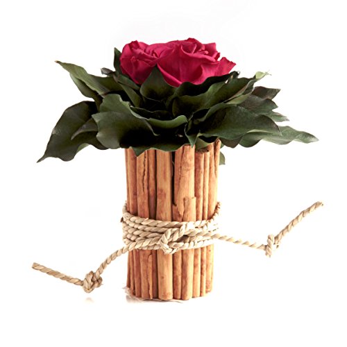 Infinity Rose in Vase aus Zimtstangen und 1 Rose konserviert haltbar 3 Jahre Blumen Deko im Landhaus Stil (Pink)