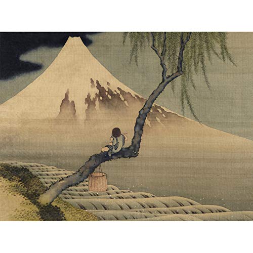 Hokusai Boy Viewing Mount Fuji Art Print Canvas Premium Wall Decor Poster Mural Aussicht Wand Deko