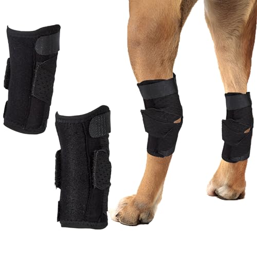 2 Stück Hundebeinbandage, Polyester, schwarz, für Hunde, Hinterbein, Sprunggelenk, Kompressionsmanschette mit Metallstreifen für Karpal-Unterstützung, Wundverletzungen schützt, heilt, verhindert