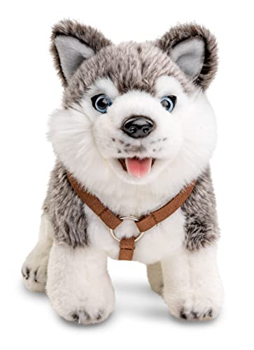 Uni-Toys - Husky Welpe grau, mit Geschirr - stehend - 24 cm (Länge) - Plüsch-Hund - Plüschtier, Kuscheltier
