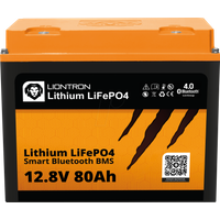 LIONTRON Lithium LiFePo4 Akku 14,5 kg 12.8V 100Ah + Victron Ladebooster 12-30A