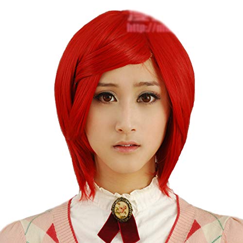 HOOLAZA Rote Kurze Gerade Cosplay Perücke Vocaloid Kaito 30 Cm Nahes Gesicht Kurze Haare Cosplay Perücke(EINWEG)