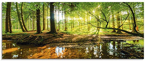 Artland Qualitätsbilder I Glasbilder Wald mit Bach Sonnenaufgang Deko Glas Bilder 125 x 50 cm Landschaften Foto Grün D8SD