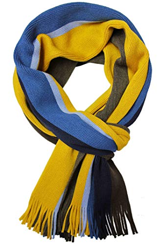 Rotfuchs Strickschal Herrenschal Schal Unisex Wolle gestreift bunt mehrfarbig (braun gelb blau)