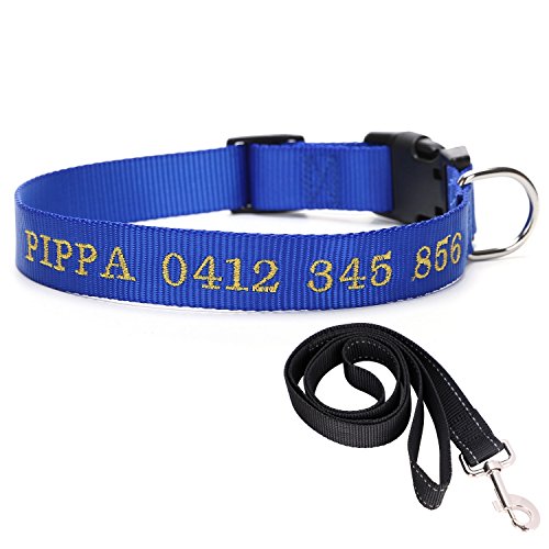 ITODA Nylon Halsband mit Wunschgravur D-Ring Stickerei Personalisierte Hundehalsband für Große Mittelgroße Kleine Hunde Klassischer Halsband und Hundeleine im Set Blau XL
