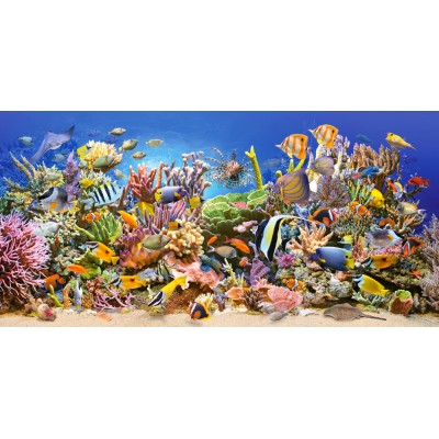 Underwater life,Puzzle 4000 Teile