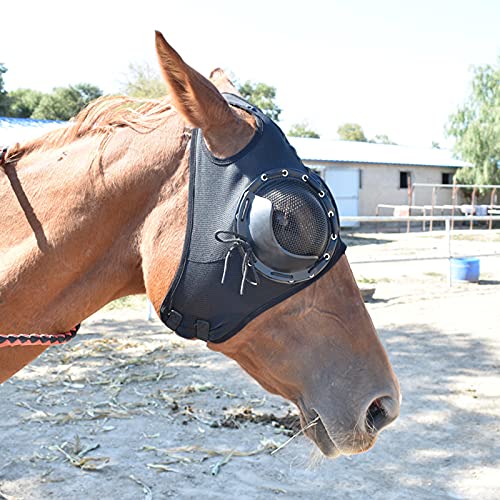 WZCXYX Gurtversorgung Kabelbaumdeckel Winddichte Schutzbrillen Geschwindigkeitsrassebrillen Mit Mesh-Brillen Anti-trachom-Cover-Horse-Kopfbedeckung(Color:schwarz)