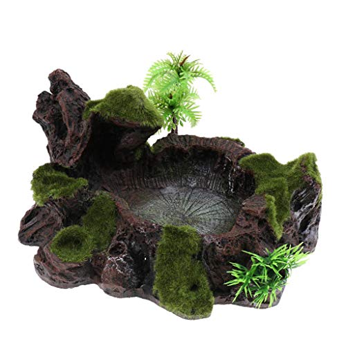 Inzopo Pflanzen-Moos-Dekoschale aus Kunstharz, für Futter und Wasser, Futterschale für Terrarium, Reptilienbecken