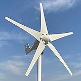 Rewindagic 600W horizontaler Windturbinen-Generator 12V 24V 48V Windkraftanlage hocheffizient für Zuhause 5 Flügel mit MPPT-Controller (12V mit kostenloser Steuerung)