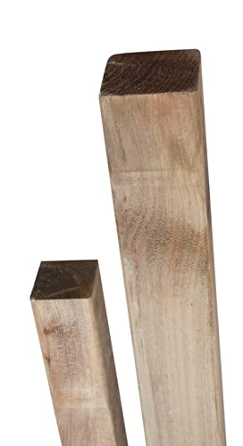 WEIDENPROFI Holzpfosten, Zaunpfosten aus Kiefernholz gebeizt, eckig, ungespitzt, Größe (LxBxH): 9 x 9 x 160 cm