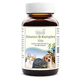 CellaVet Vitamin B-Komplex (Weizengras + Quinoa-Keimlingen) - für Hunde & Katze (100g)