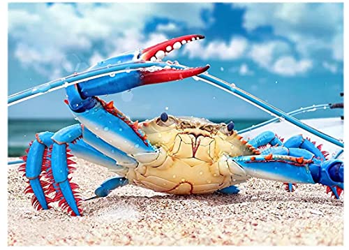 JYSHC Puzzle 1000 Teile Strand Seascape Tier Krabbenlinie Poster Holz Spielzeug Für Erwachsene Dekompressionsspiel Gt583Cx