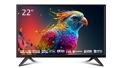 DYON Enter 22 Pro X2 55 cm (22 Zoll) Full-HD Fernseher (Triple Tuner (DVB-C/-S2/-T2), Hotelmodus, USB-Media Player) [Modelljahr 2023]