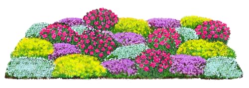 Dehner Stauden-Set Bodendecker, je 4x 6 verschiedene Gartenstauden, insgesamt 24 mehrjährige Pflanzen, je 5-20 cm, Ø Topf je 9 cm, rot/weiß/gelb/lila