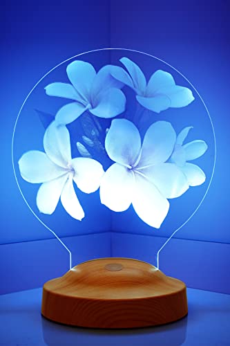 Sentidos Personalisierte Geschenke Premium 3D Led Lampe Muttertagsgeschenk Nachttischlampe für Weihnachten Geburtstag Partnergeschenk (Style 12)