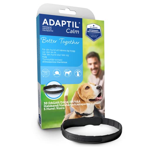 ADAPTIL Calm Halskette (Größe S/M für kleinere Hunde < 15 kg) - Sicherheit überall