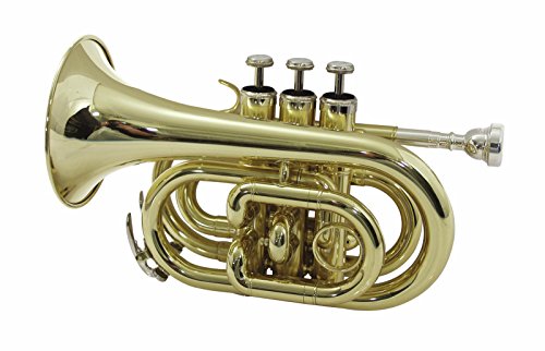 DIMAVERY TP-300 Bb Pocket Trompete, GOLD