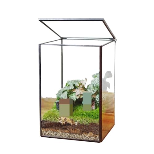 Schwarzer Geometrischer Terrarium-Pflanzgefäß, Glas Glas Terrarium Haus Geometrische Glas BehäLter Mit Deckel Pflanzgefäß Für Sukkulenten,Miniatur-Blumentopf Für Sukkulenten, Kakteen
